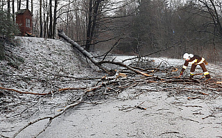 Wichury nad regionem: dwie osoby ranne, uszkodzone samochody, brak prądu